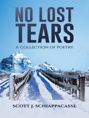cover image of No Lost Tears
